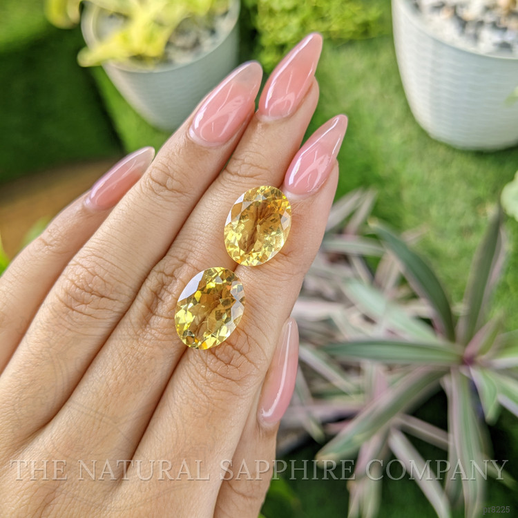 15.47 Ct.Tw. Citrine Pair from Ceylon (Sri Lanka)