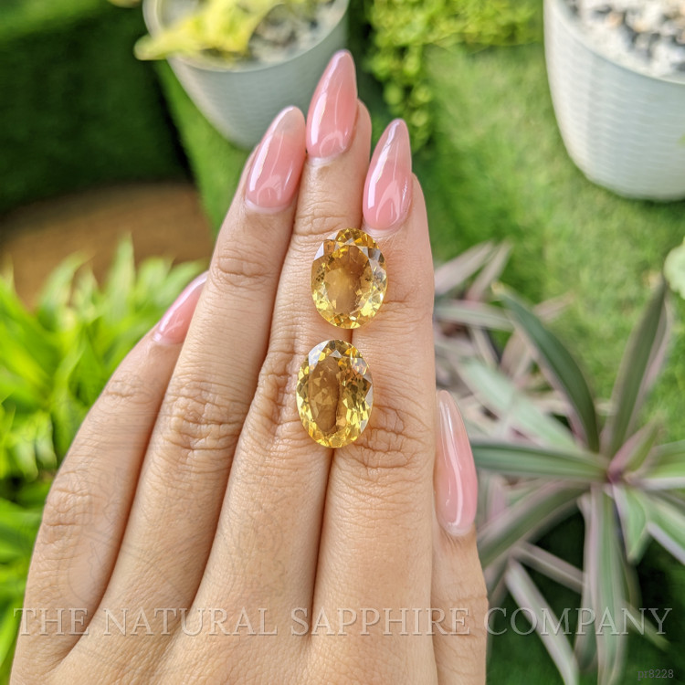 15.88 Ct.Tw. Citrine Pair from Ceylon (Sri Lanka)