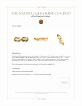 15.59 Ct.Tw.Total Carat Weight Citrine Pair from Ceylon (Sri Lanka) Appraisal