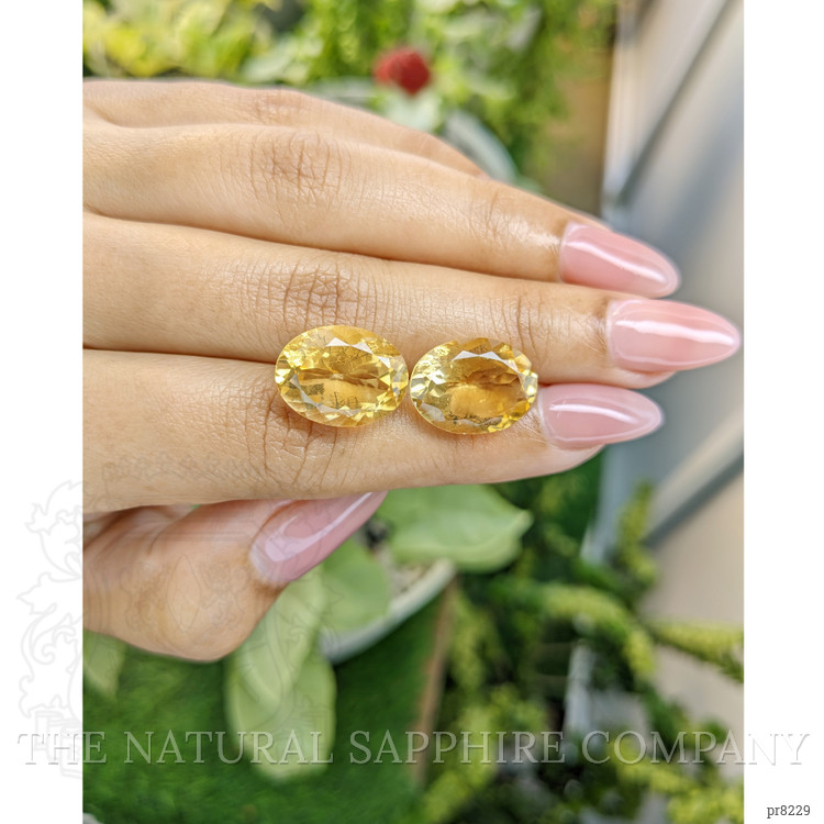 15.59 Ct.Tw. Citrine Pair from Ceylon (Sri Lanka)