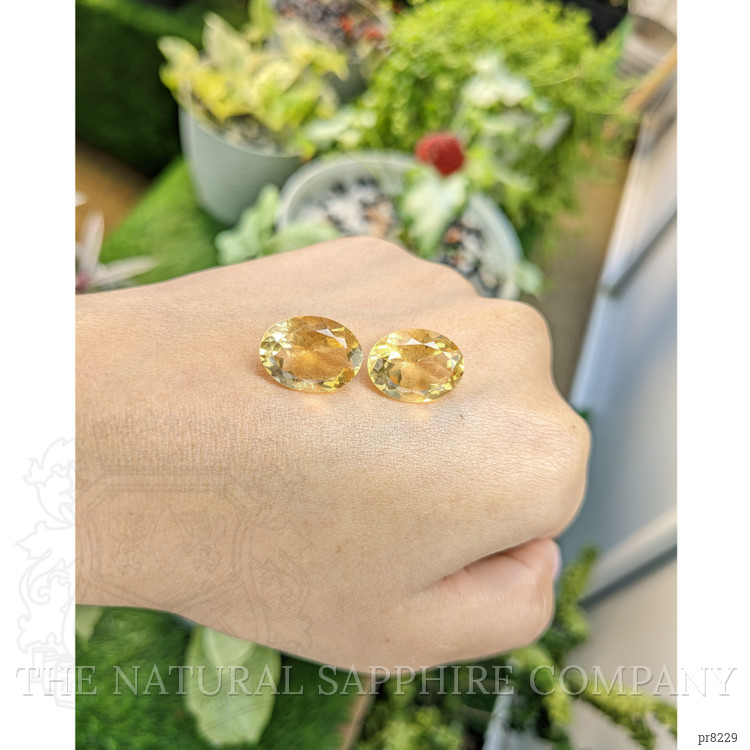 15.59 Ct.Tw. Citrine Pair from Ceylon (Sri Lanka)