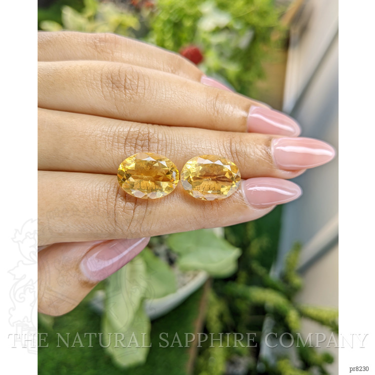 16.41 Ct.Tw. Citrine Pair from Ceylon (Sri Lanka)