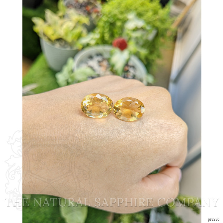 16.41 Ct.Tw. Citrine Pair from Ceylon (Sri Lanka)