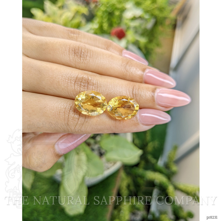 14.90 Ct.Tw. Citrine Pair from Ceylon (Sri Lanka)