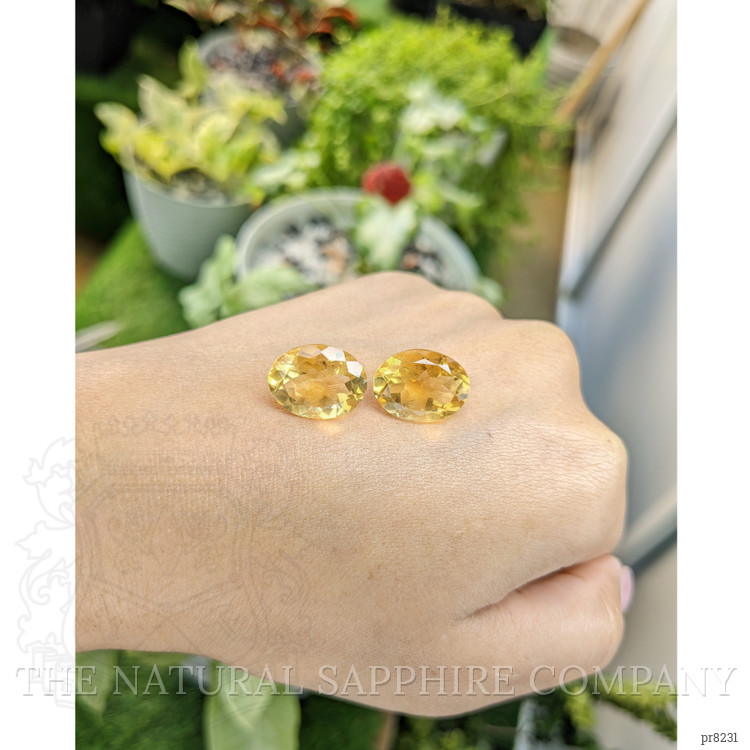 14.90 Ct.Tw. Citrine Pair from Ceylon (Sri Lanka)