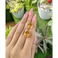 16.02&nbsp;Ct.Tw.Total Carat Weight Citrine Pair from Ceylon (Sri Lanka) Life Style