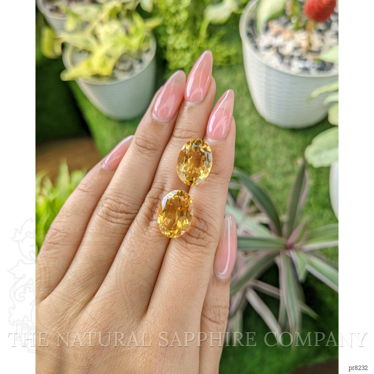 16.02 Ct.Tw. Citrine Pair from Ceylon (Sri Lanka)