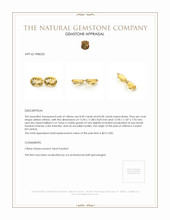 17.07 Ct.Tw.Total Carat Weight Citrine Pair from Ceylon (Sri Lanka) Appraisal