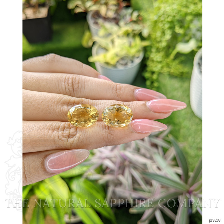 17.07 Ct.Tw. Citrine Pair from Ceylon (Sri Lanka)