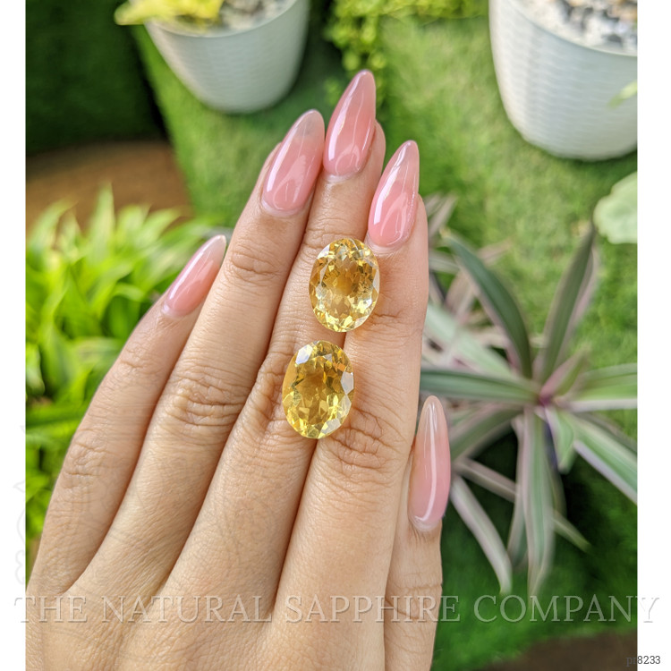17.07 Ct.Tw. Citrine Pair from Ceylon (Sri Lanka)