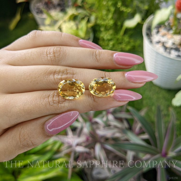 15.53 Ct.Tw. Citrine Pair from Ceylon (Sri Lanka)