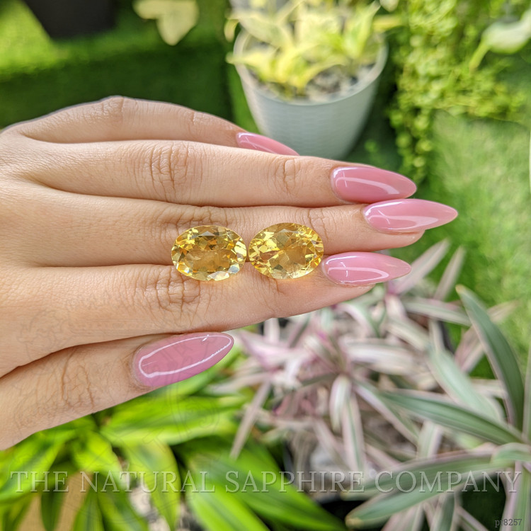 15.17 Ct.Tw. Citrine Pair from Ceylon (Sri Lanka)