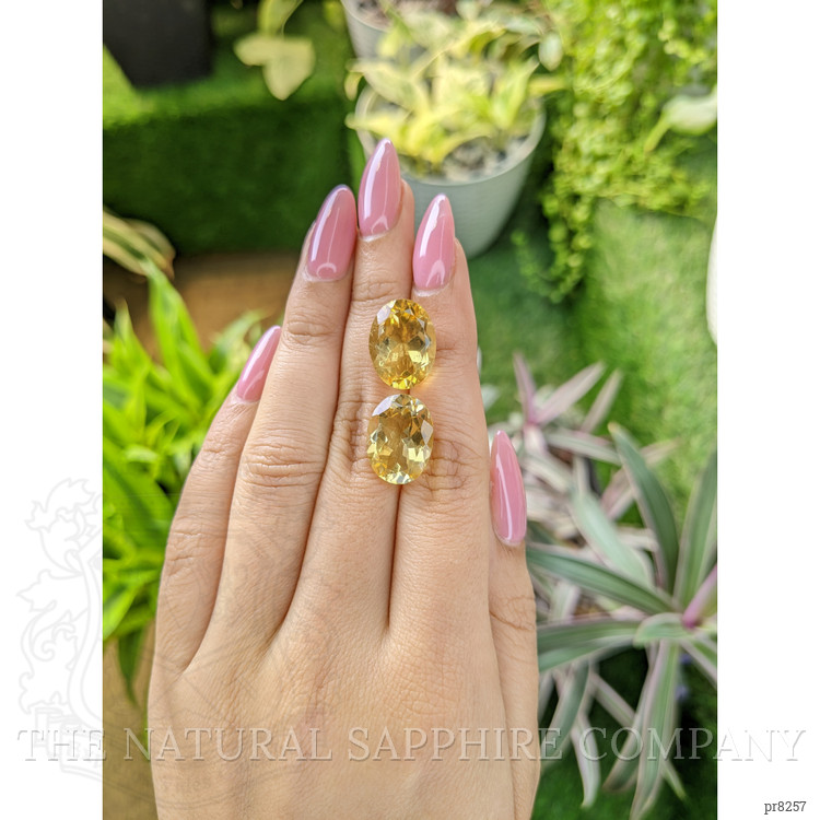 15.17 Ct.Tw. Citrine Pair from Ceylon (Sri Lanka)