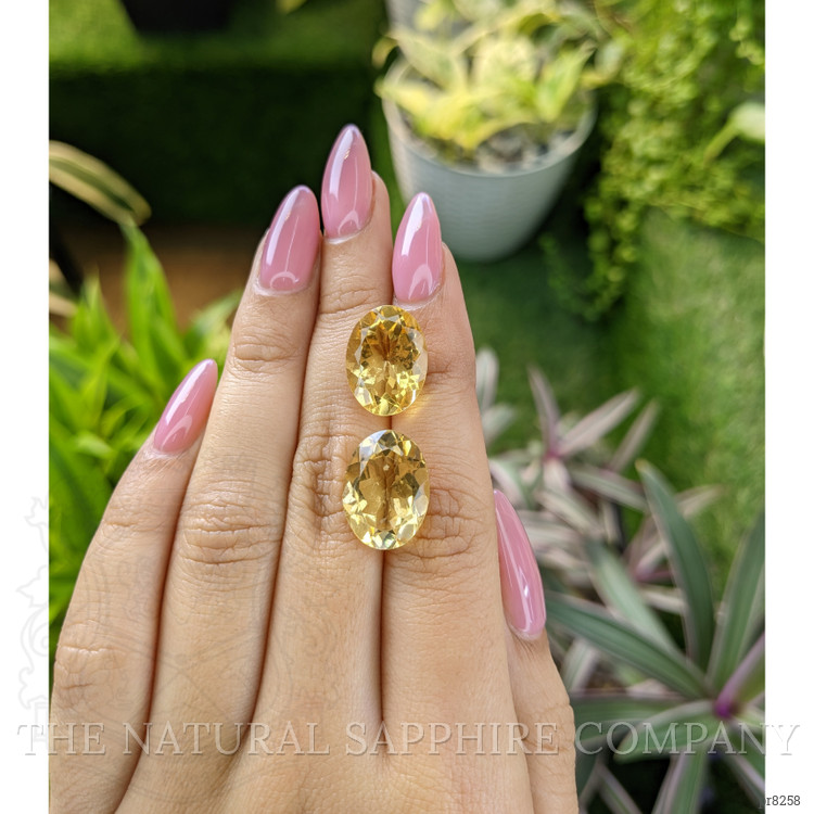 16.12 Ct.Tw. Citrine Pair from Ceylon (Sri Lanka)