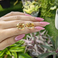 16.12&nbsp;Ct.Tw.Total Carat Weight Citrine Pair from Ceylon (Sri Lanka) Life Style