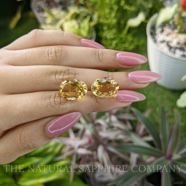 15.61 Ct.Tw. Citrine Pair from Ceylon (Sri Lanka)