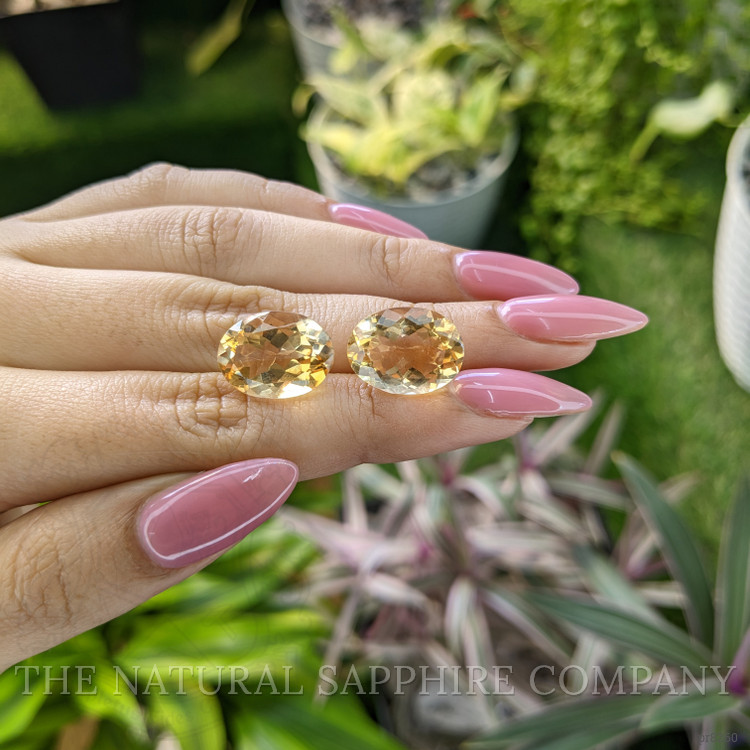 16.84 Ct.Tw. Citrine Pair from Ceylon (Sri Lanka)