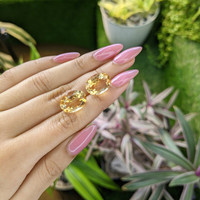 16.84&nbsp;Ct.Tw.Total Carat Weight Citrine Pair from Ceylon (Sri Lanka) Life Style