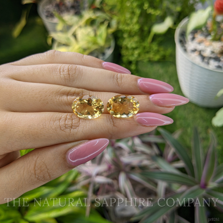 15.12 Ct.Tw. Citrine Pair from Ceylon (Sri Lanka)
