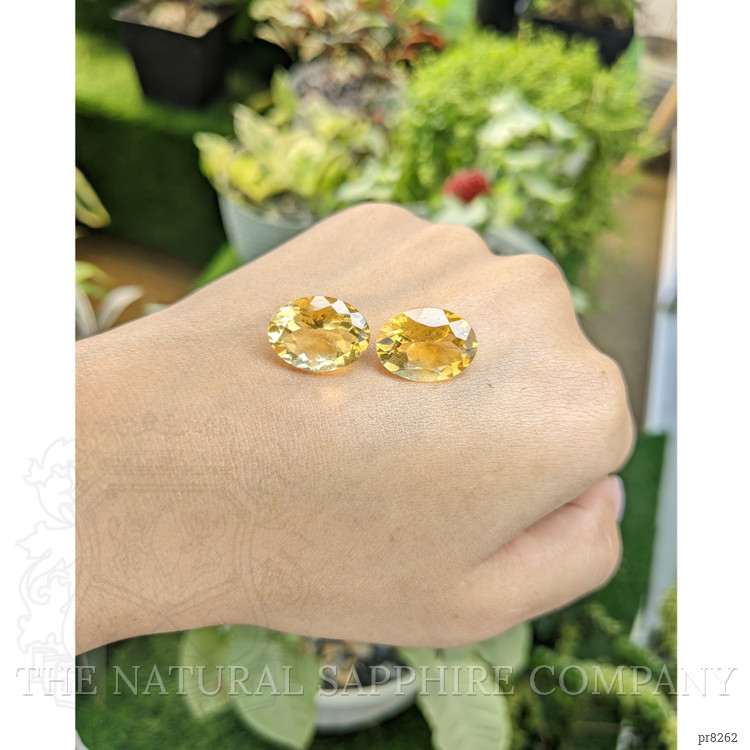 16.24 Ct.Tw. Citrine Pair from Ceylon (Sri Lanka)