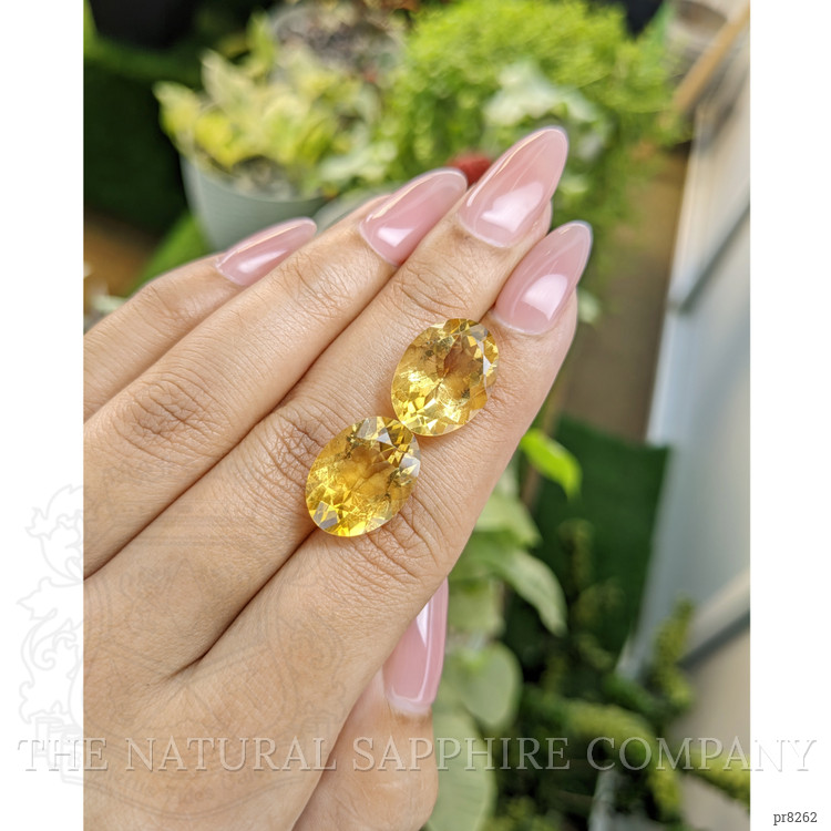 16.24 Ct.Tw. Citrine Pair from Ceylon (Sri Lanka)