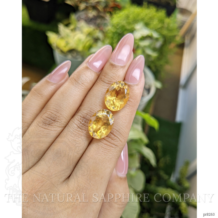 16.99 Ct.Tw. Citrine Pair from Ceylon (Sri Lanka)