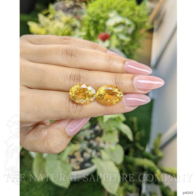 16.99 Ct.Tw. Citrine Pair from Ceylon (Sri Lanka)