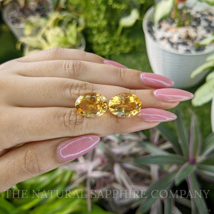 16.54 Ct.Tw. Citrine Pair from Ceylon (Sri Lanka)