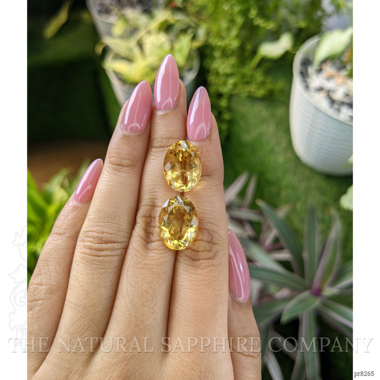 17.30 Ct.Tw. Citrine Pair from Ceylon (Sri Lanka)