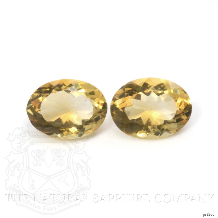 16.25 Ct.Tw. Citrine Pair from Burma (Myanmar)