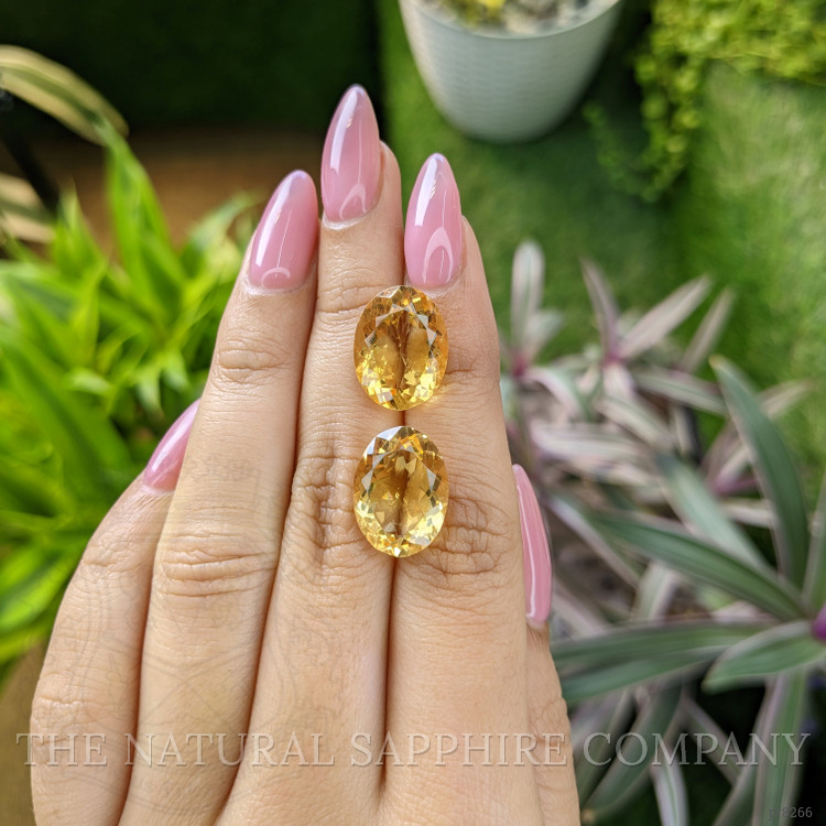 16.25 Ct.Tw. Citrine Pair from Burma (Myanmar)