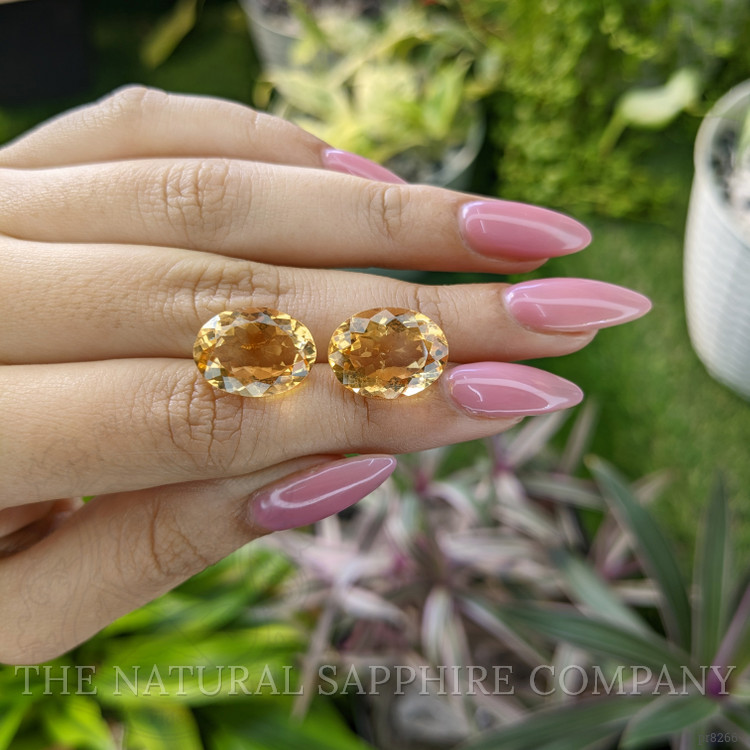 16.25 Ct.Tw. Citrine Pair from Burma (Myanmar)