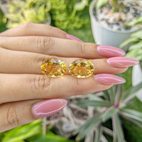 15.45&nbsp;Ct.Tw.Total Carat Weight Citrine Pair from Ceylon (Sri Lanka) Life Style