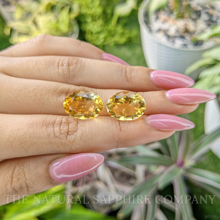 15.45 Ct.Tw. Citrine Pair from Ceylon (Sri Lanka)
