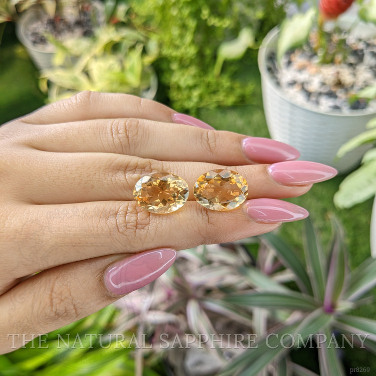 16.55 Ct.Tw. Citrine Pair from Ceylon (Sri Lanka)