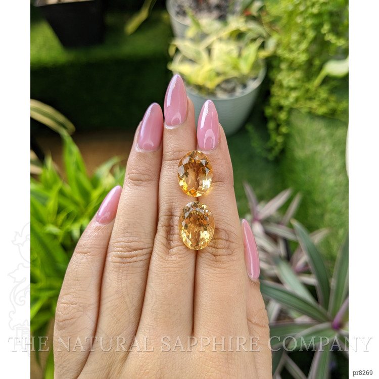 16.55 Ct.Tw. Citrine Pair from Ceylon (Sri Lanka)