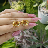 16.76 Ct.Tw.Total Carat Weight Citrine Pair from Bolivia Life Style