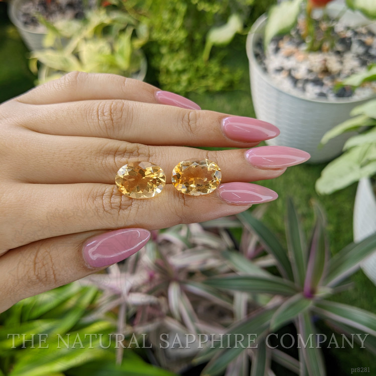 16.05 Ct.Tw. Citrine Pair from Bolivia