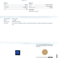 Jewelry Scan Report