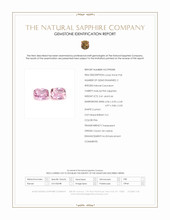 Jewelry Scan Report