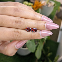 2.93&nbsp;Ct.Tw.Total Carat Weight Garnet Pair from Ceylon (Sri Lanka) Life Style