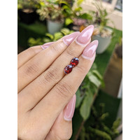 2.93&nbsp;Ct.Tw.Total Carat Weight Garnet Pair from Ceylon (Sri Lanka) Life Style
