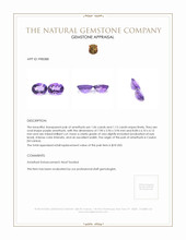 2.19 Ct.Tw.Total Carat Weight Amethyst Pair from Ceylon (Sri Lanka) Appraisal