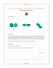 0.74 Ct.Tw.Total Carat Weight Emerald Pair from Madagascar Appraisal