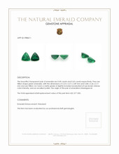 0.83 Ct.Tw.Total Carat Weight Emerald Pair from Madagascar Appraisal