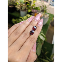 5.68&nbsp;Ct.Tw.Total Carat Weight Garnet Pair from Ceylon (Sri Lanka) Life Style