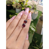 5.80&nbsp;Ct.Tw.Total Carat Weight Garnet Pair from Ceylon (Sri Lanka) Life Style