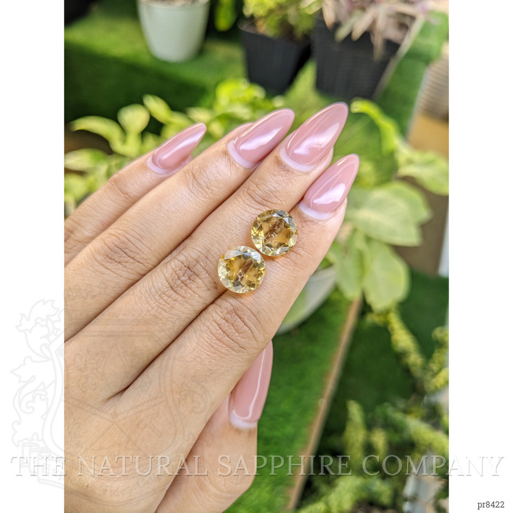 7.62 Ct.Tw. Citrine Pair from Ceylon (Sri Lanka)