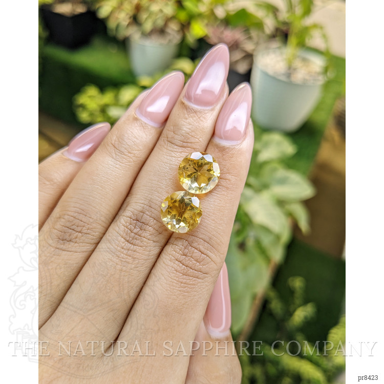 7.62 Ct.Tw. Citrine Pair from Ceylon (Sri Lanka)