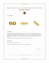 8.92 Ct.Tw.Total Carat Weight Citrine Pair from Ceylon (Sri Lanka) Appraisal